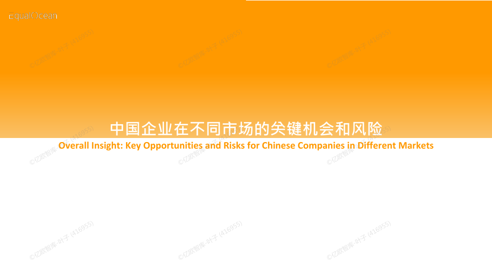 报告页面48