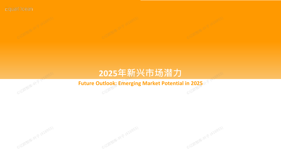 报告页面52