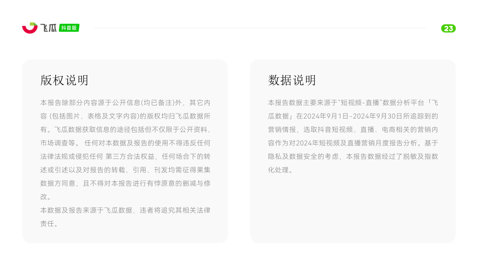 报告页面29
