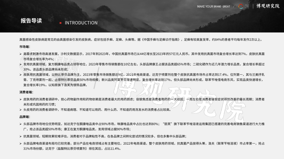 报告页面2