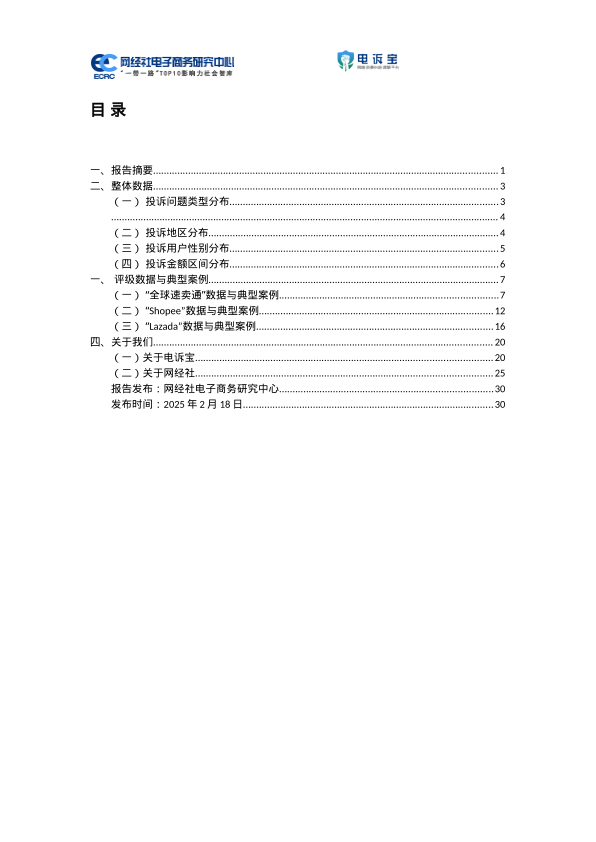 报告页面2