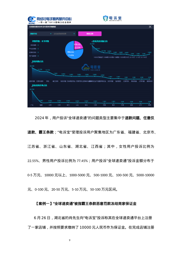 报告页面11