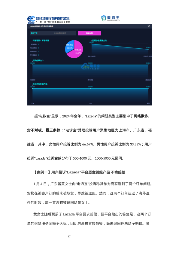 报告页面19