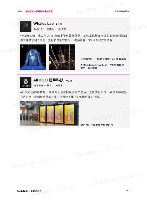 报告页面30