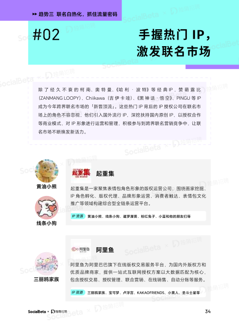 报告页面37