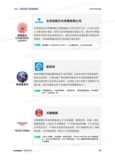 报告页面38