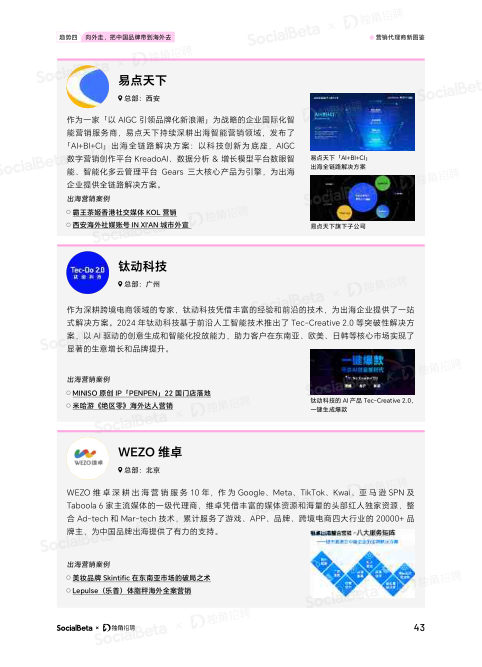 报告页面46