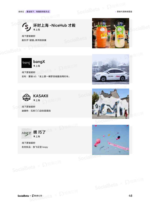 报告页面51