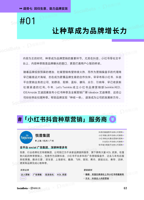报告页面66