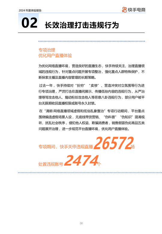报告页面30