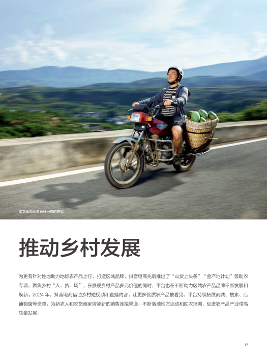 报告页面12