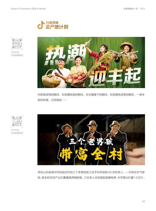 报告页面117
