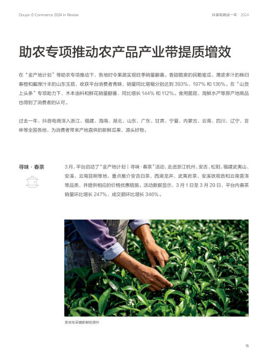 报告页面15