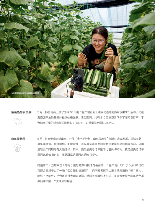报告页面16