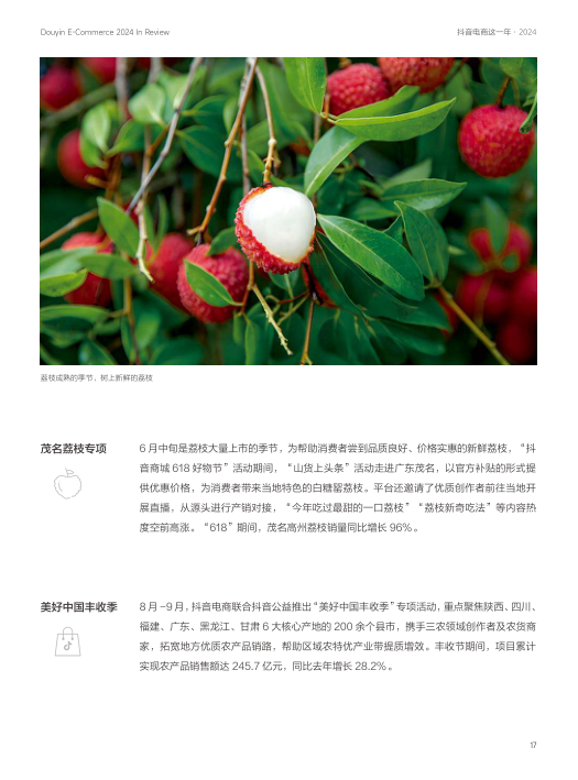 报告页面17