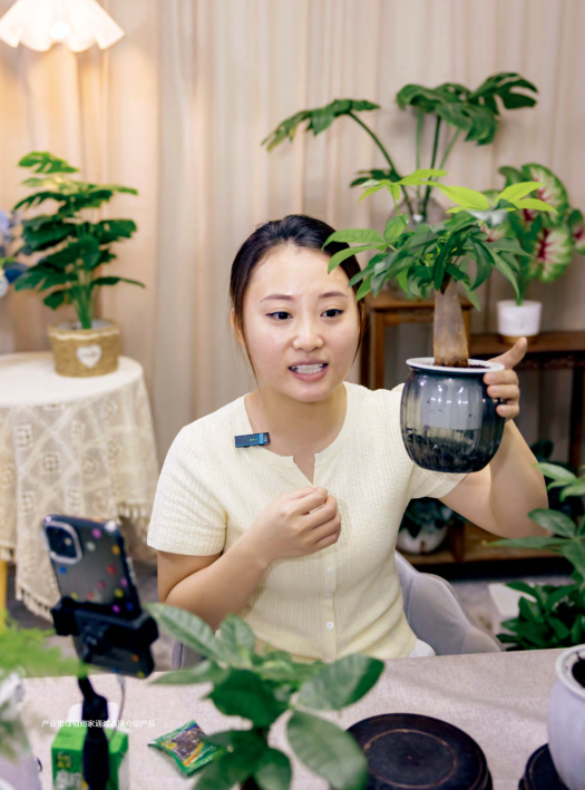 报告页面27