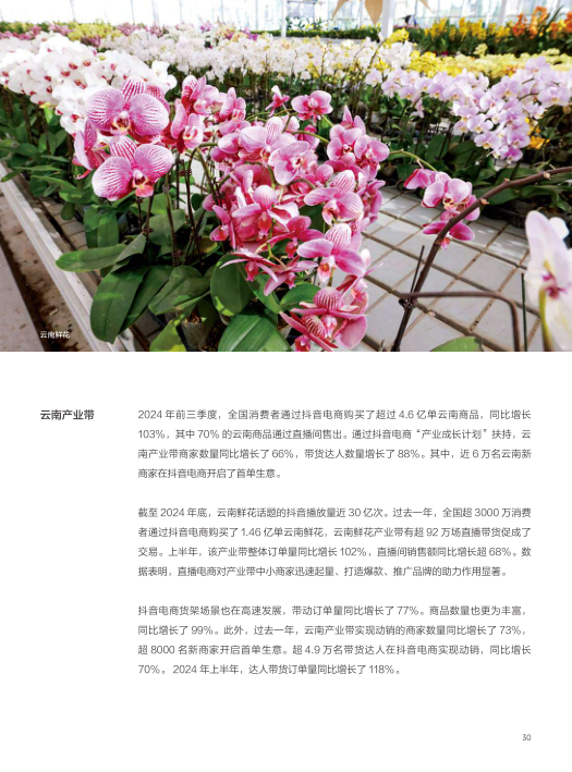 报告页面30