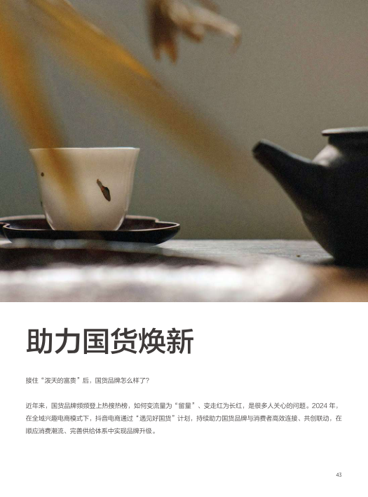 报告页面43