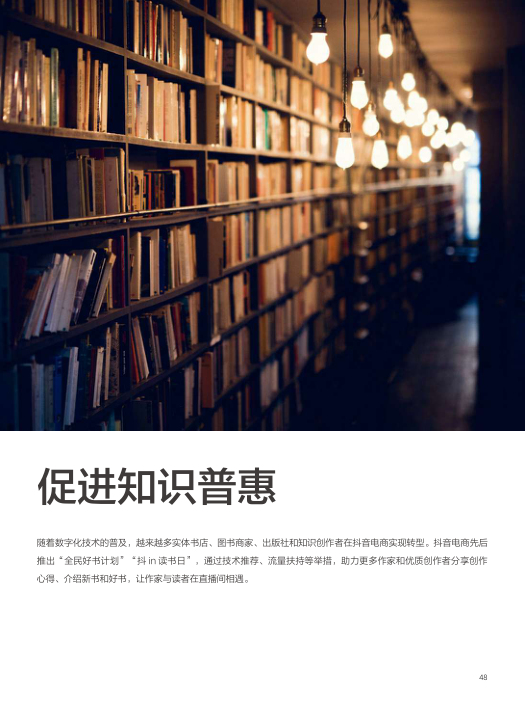 报告页面48
