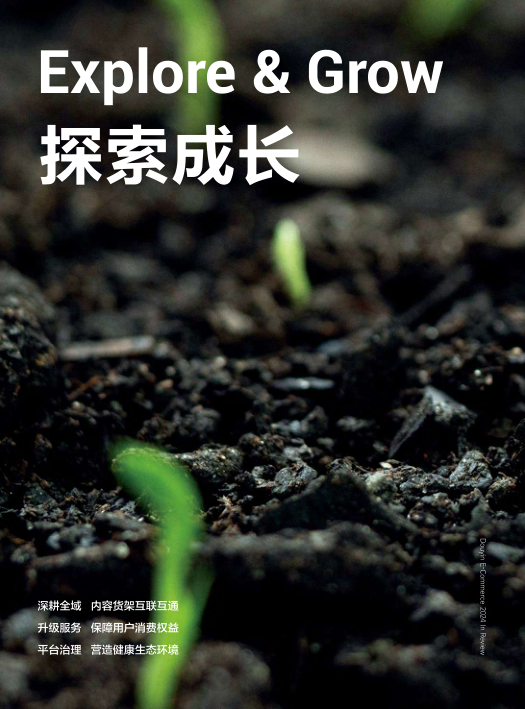 报告页面67