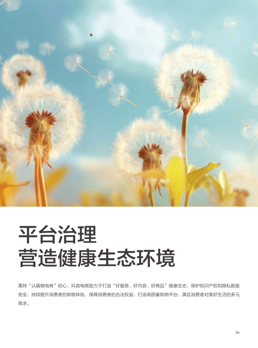 报告页面86
