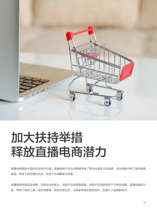 报告页面93