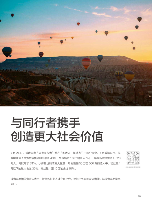 报告页面100