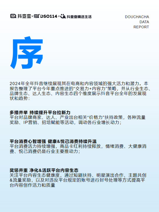 报告页面3