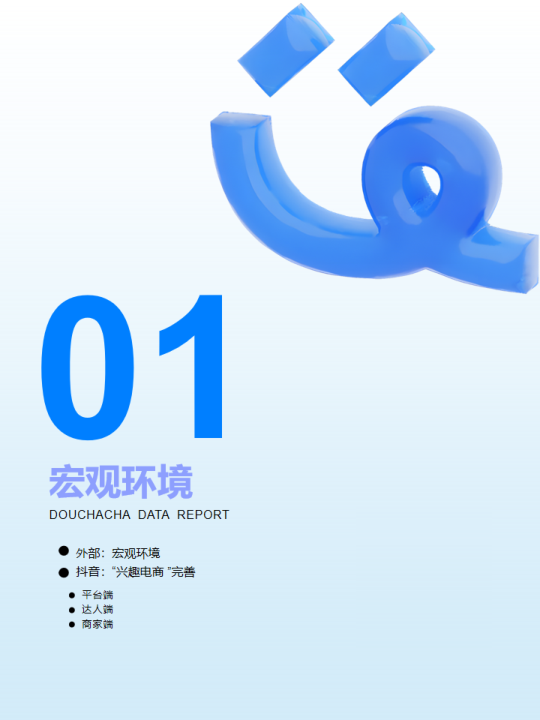 报告页面4