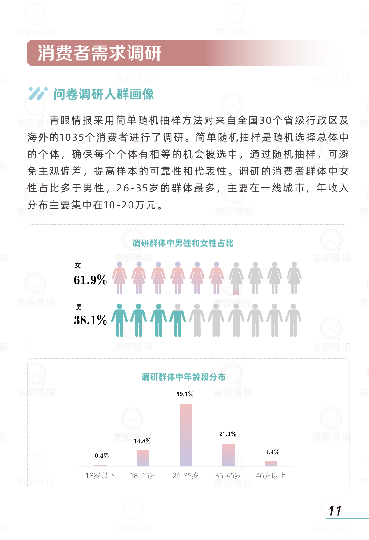 报告页面13