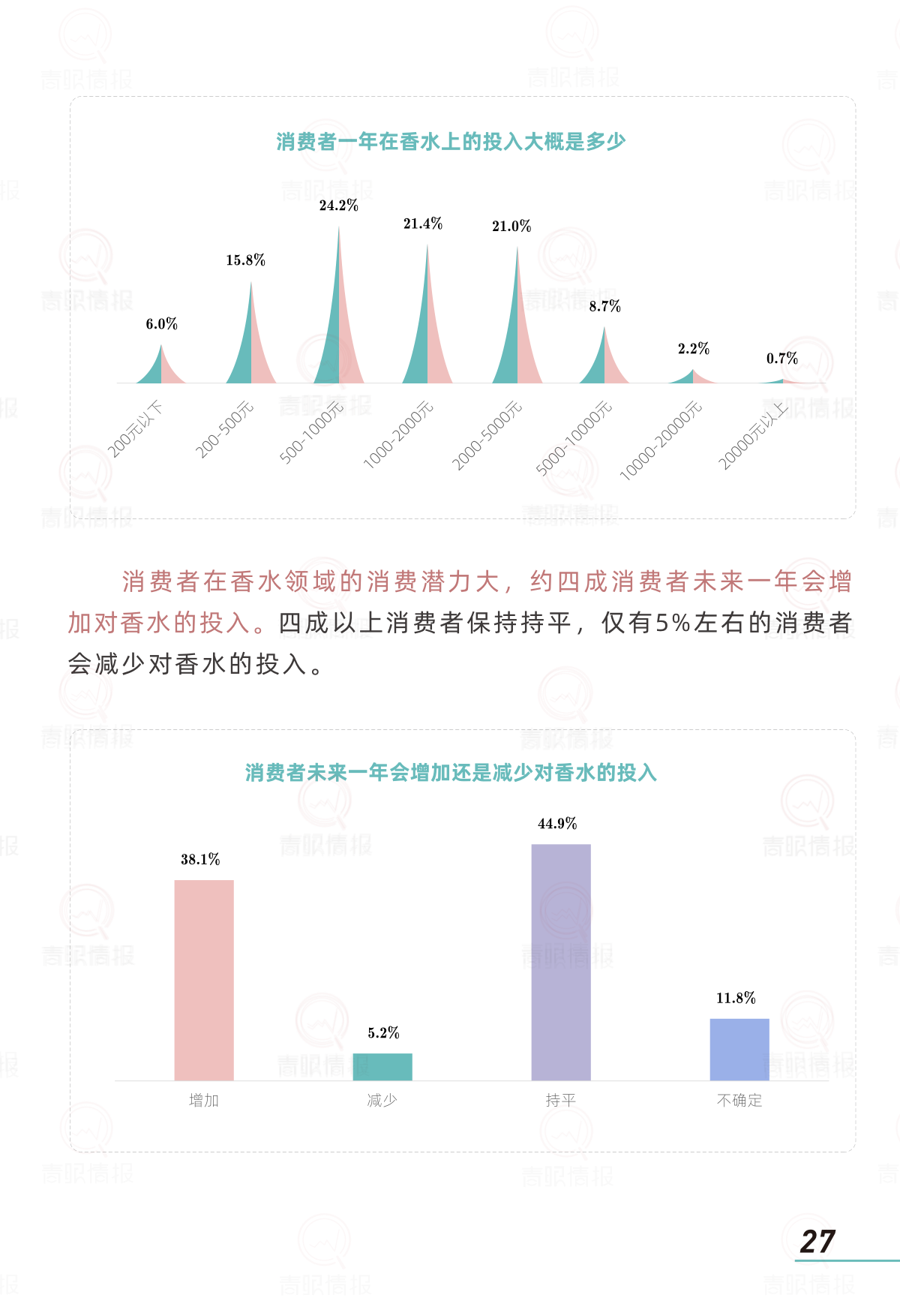 报告页面29