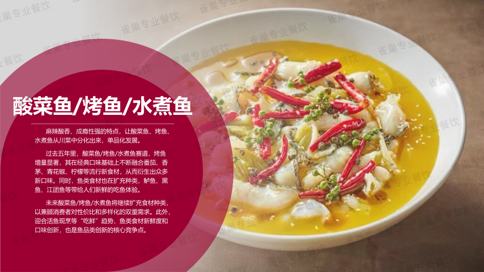 报告页面107