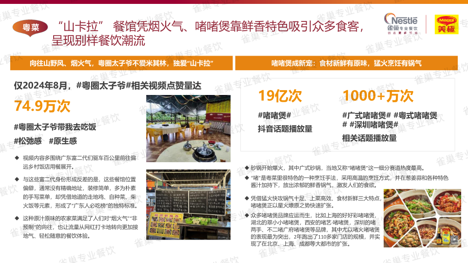 报告页面29