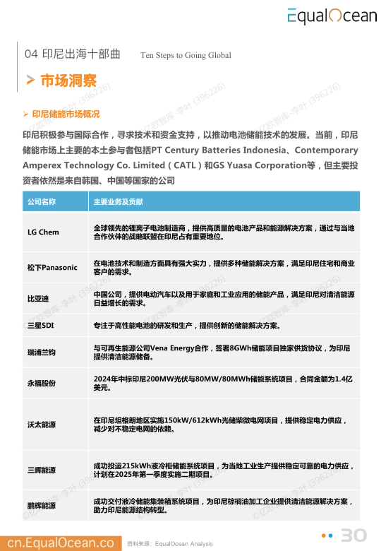 报告页面30