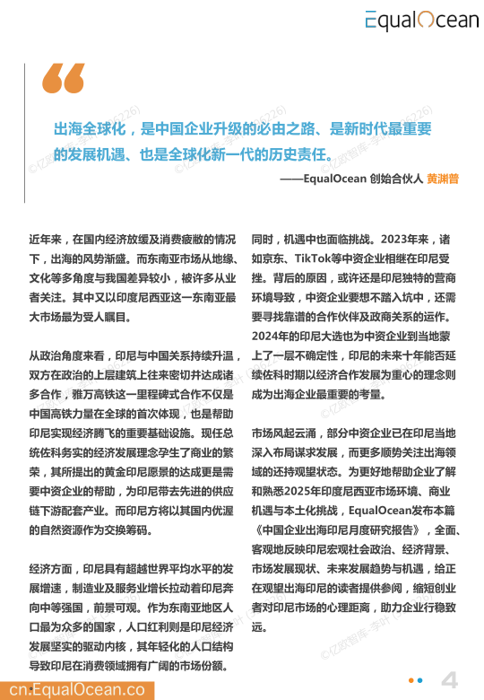报告页面4