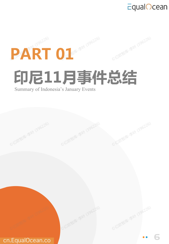 报告页面6