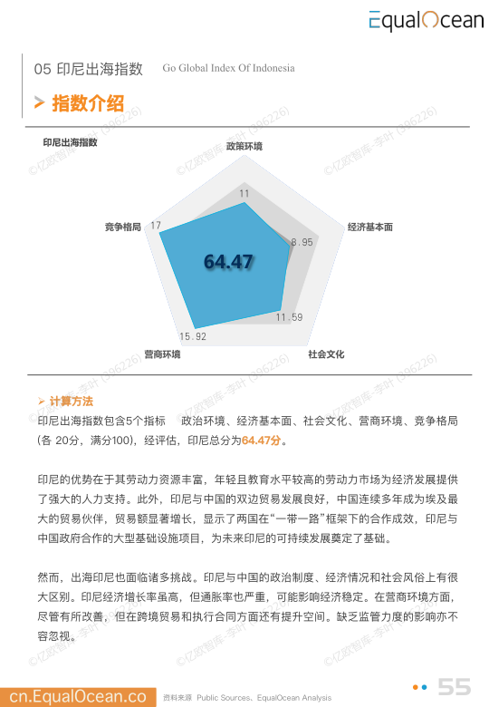 报告页面55