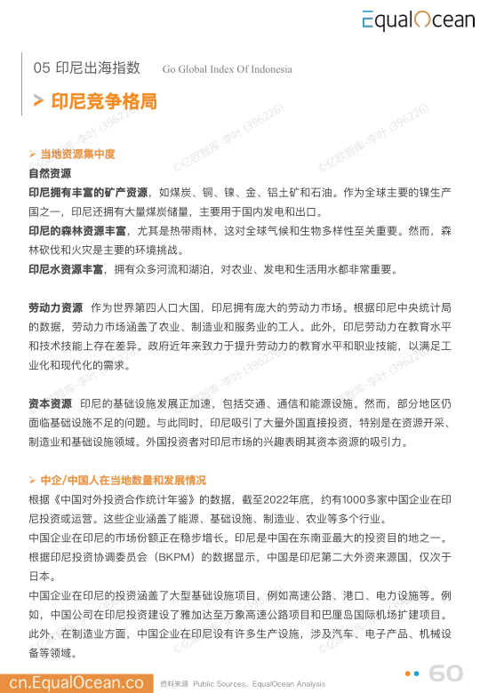 报告页面60