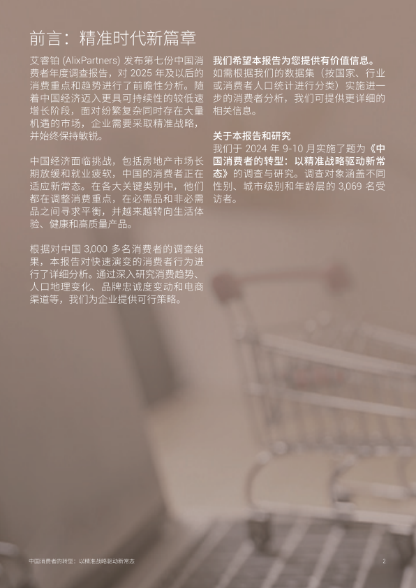 报告页面2