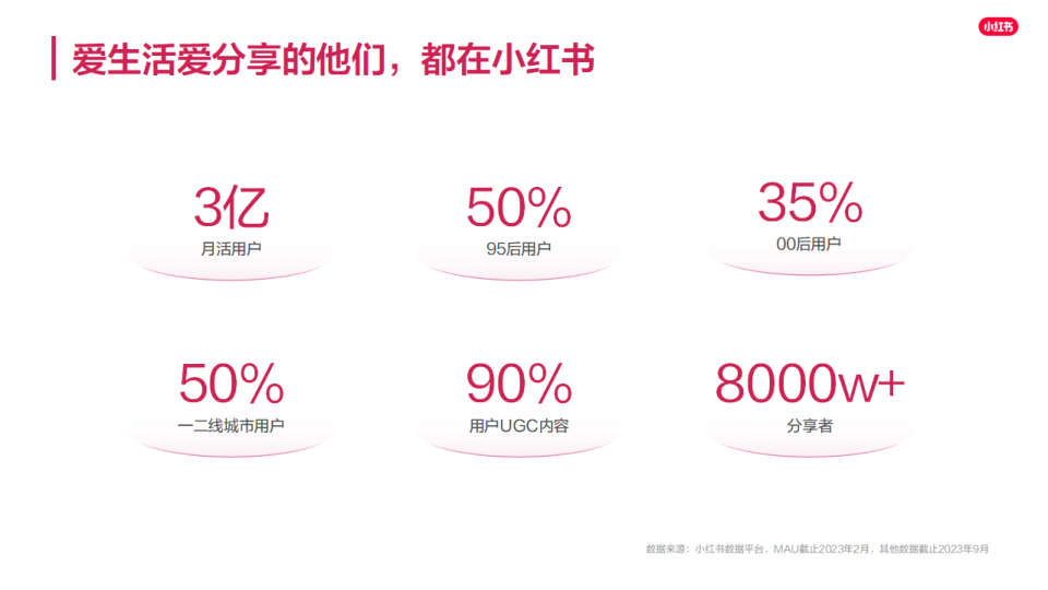 报告页面4