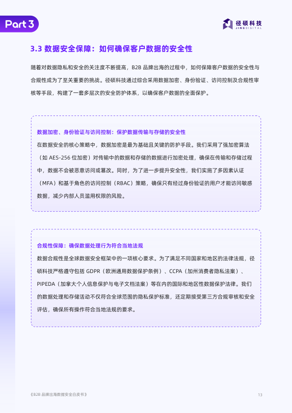 报告页面13