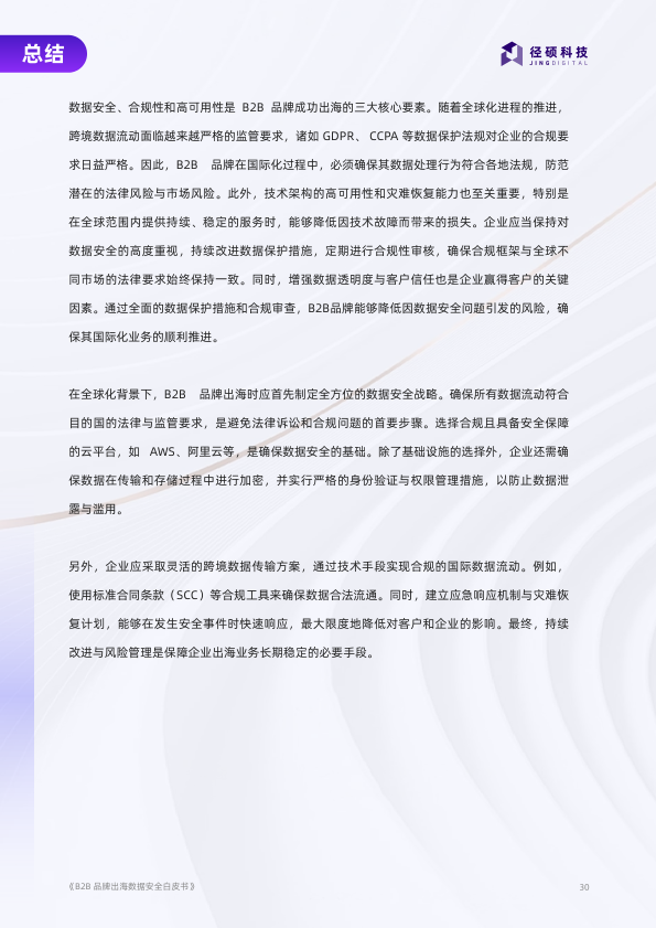 报告页面30