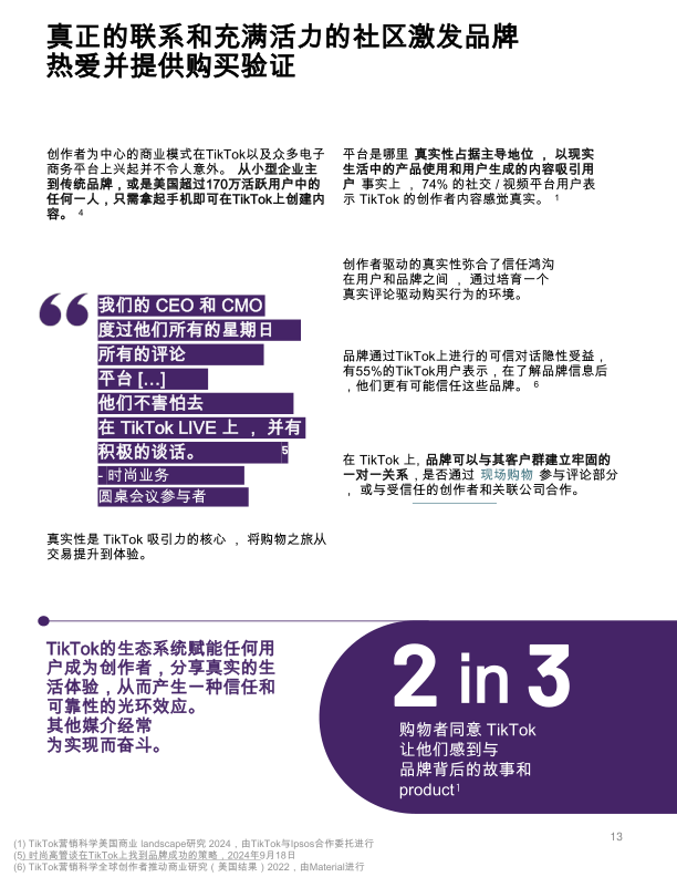报告页面13
