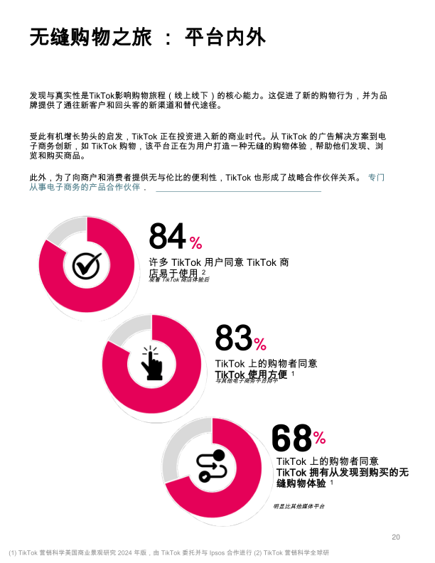报告页面20
