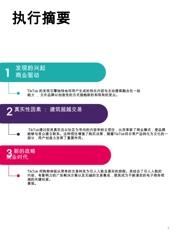 报告页面3