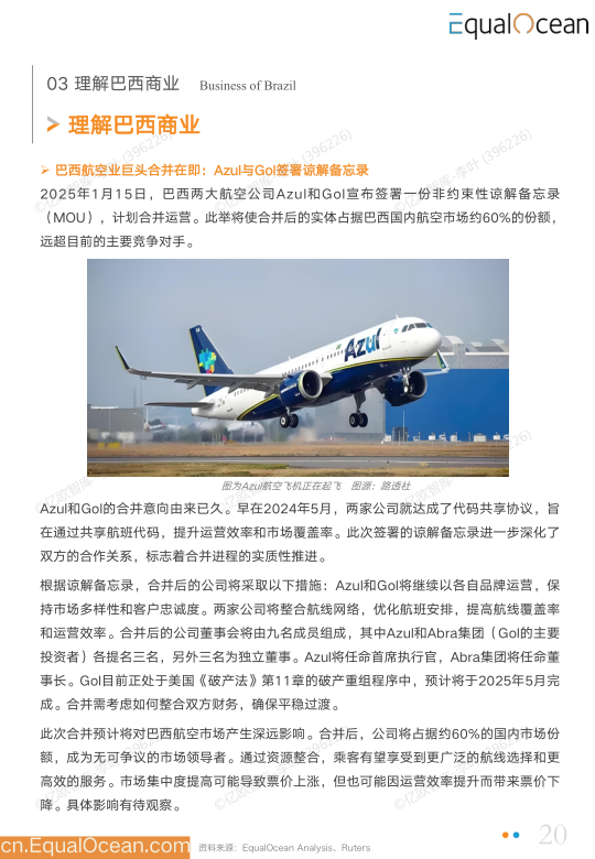 报告页面20