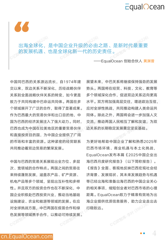报告页面4