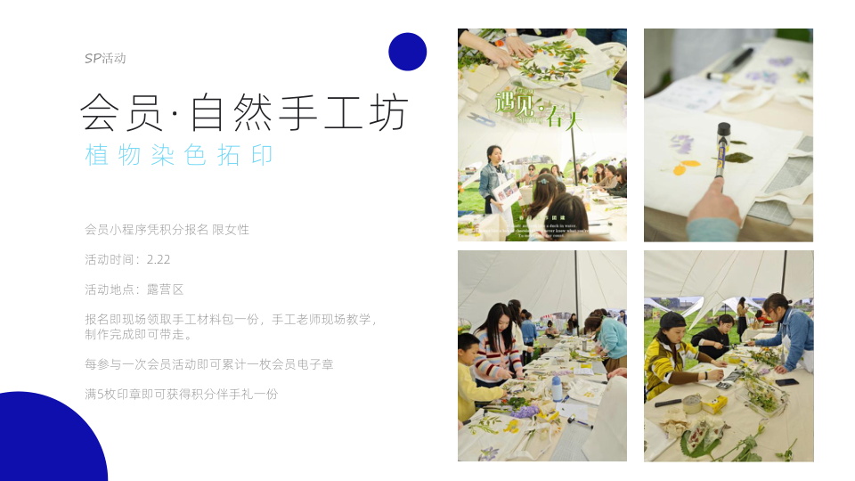 报告页面11