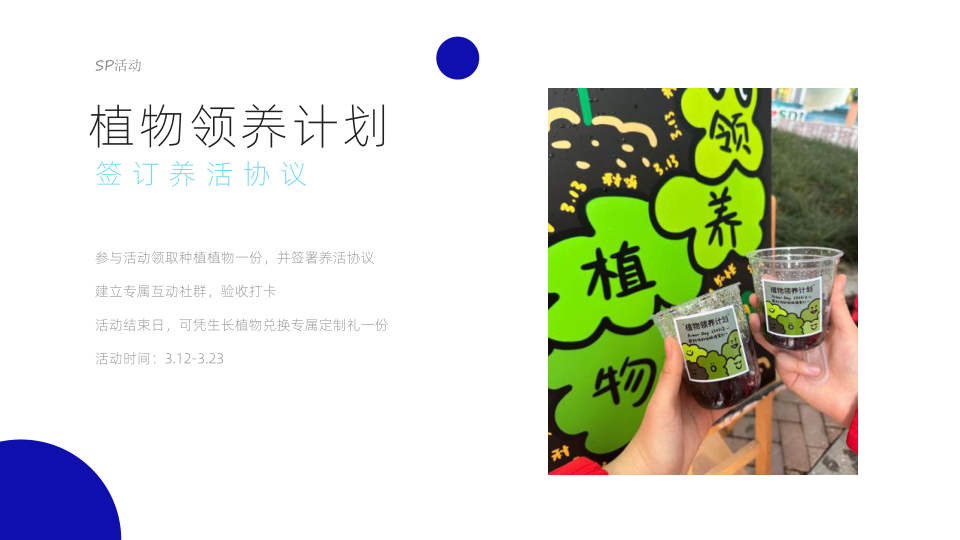 报告页面13