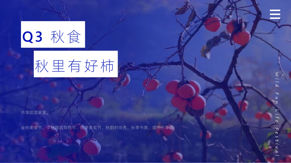 报告页面24